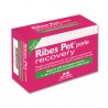 RIBES PET Recovery 60 Pearls
