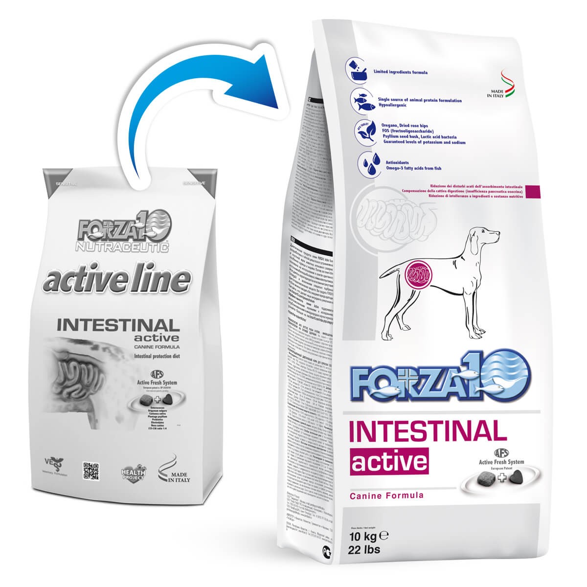 Сухие корма для собак интестинал. Forza 10 корм для собак intestinal Active. Forza10 Active line intestinal. Forza10 intestinal Active для собак. Forza10 Dermo Active (10 кг).