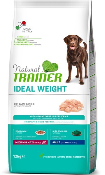 Trainer bianche cheap