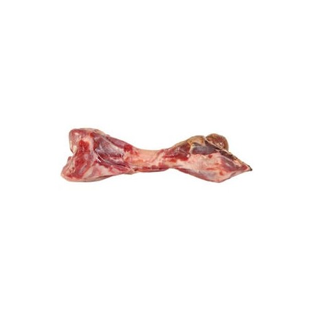 Prosciutto bone deals for dogs