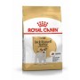 Royal Canin Jack Russell Adult 1,5kg