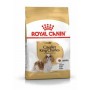 Royal Canin Cavalier King 1,5 kg