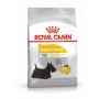 Royal Canin Dermaconfort Dog Mini 1kg