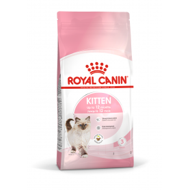 Kitten royal best sale