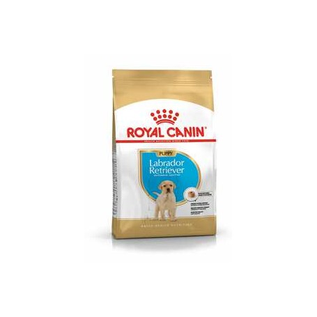 Royal canin labrador retriever junior best sale 12 kg