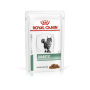 Royal Canin Cat Diabetic Bocconcini in Salsa 12x85g