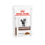 Royal Canin Cat Gastrointestinal Bocconcini in Salsa 12x85g