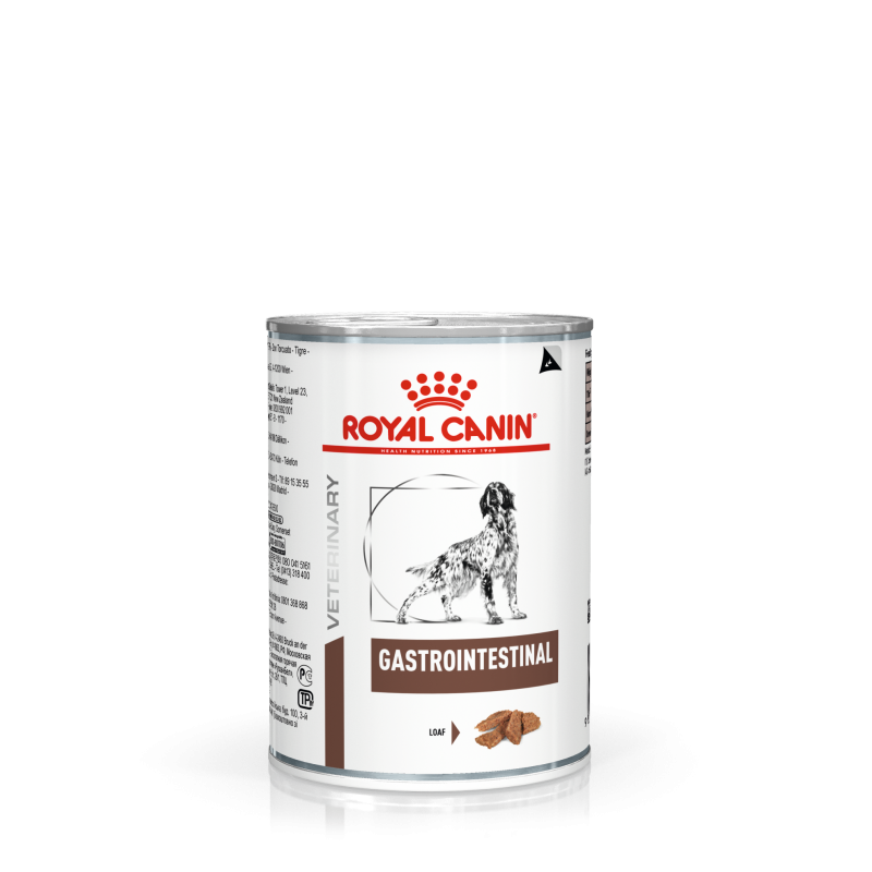 Gastro intestinal on sale junior dog food