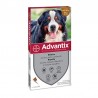 Advantix Dogs 40-60 kg 4 pipettes 6 ml